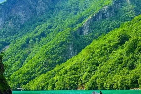 Boat Tour: Shkodra City to Shala River